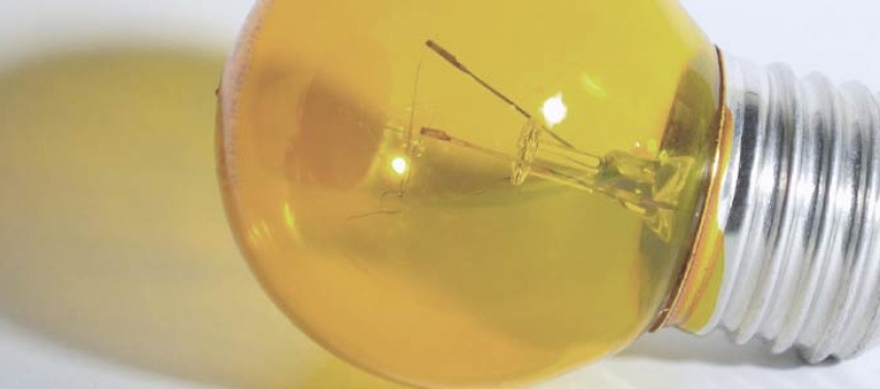 Cheque innovación: la pequeña empresa también se reinventa